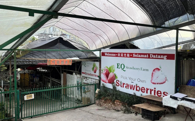 Palas Horizon Apartment