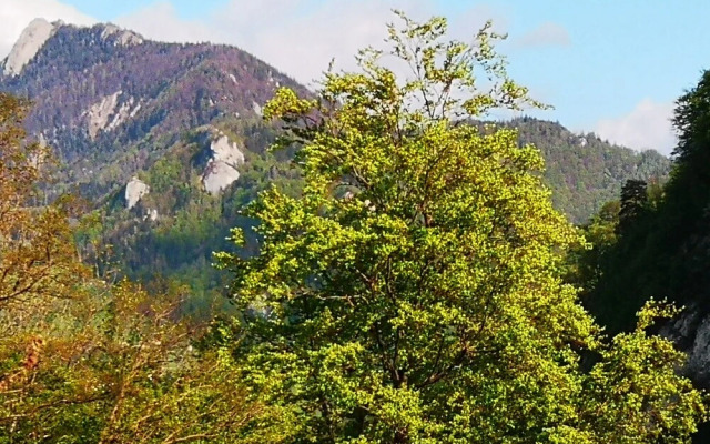 Ferienwohnung WG beim Nationalpark Kalkalpen Steyr Ennstal am Ennsradweg - Luchstrail - Sebaldus - Mariazeller Pilgerweg