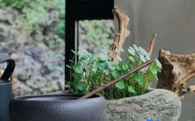 Wudangshan Suwen Homestay