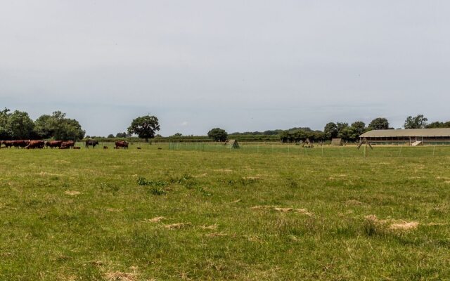 Oxen Cottage @ Nables Farm