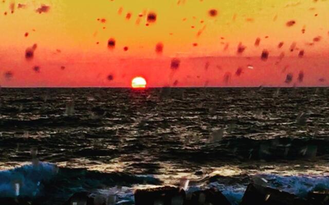 A 50 passi dal Tempio di Apollo