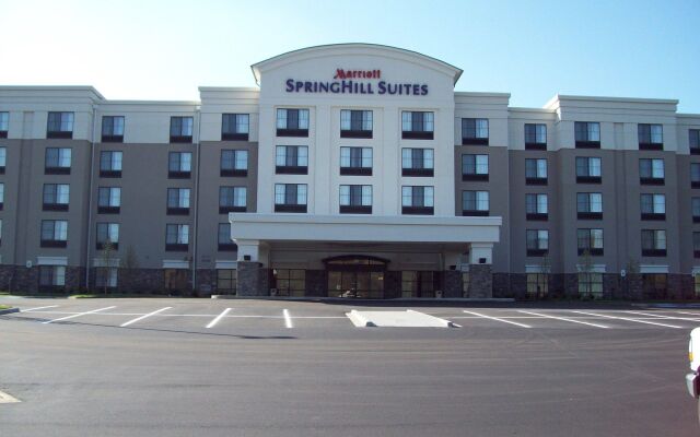 SpringHill Suites by Marriott Wheeling Tridelphia Area