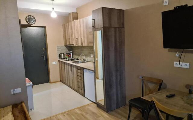 Bakuriani apartment