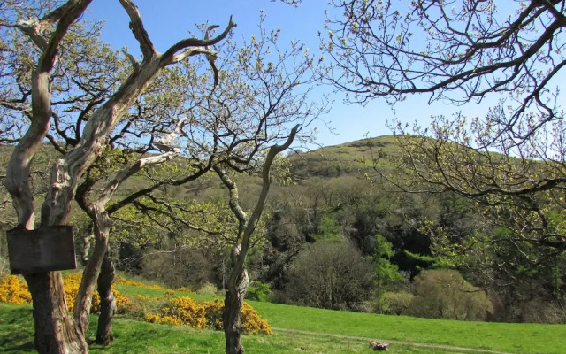 Golygfa'r Cwm