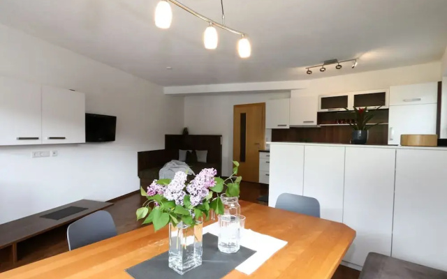 Apartment in Hippach Near Mayrhofen Ski Area