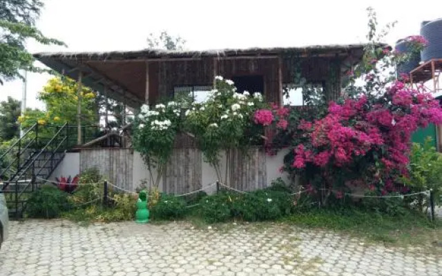 Misty Wood Resorts