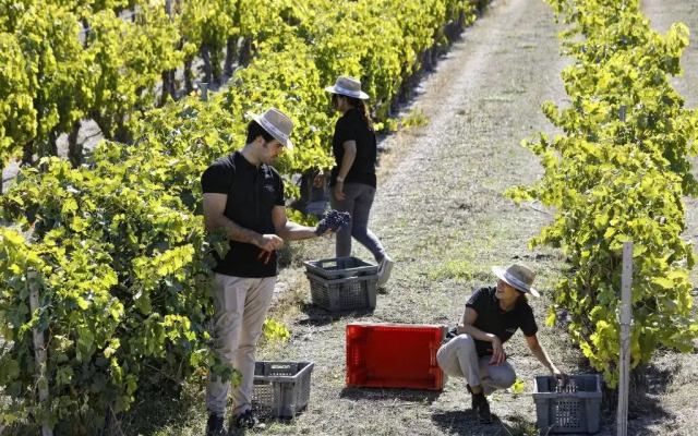 Abadia Retuerta Ledomaine