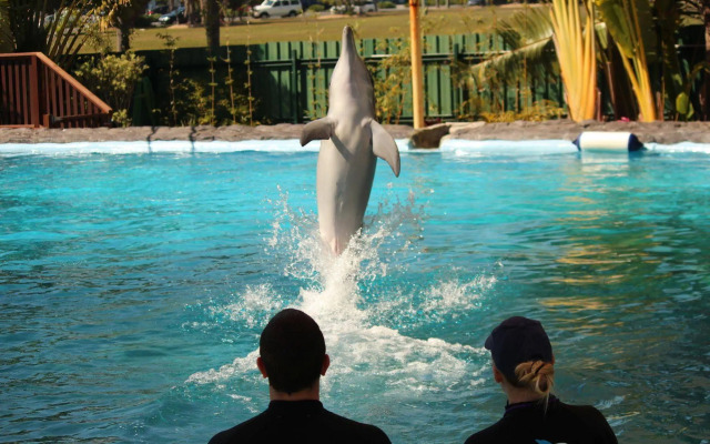 Korora Bay Village Resort