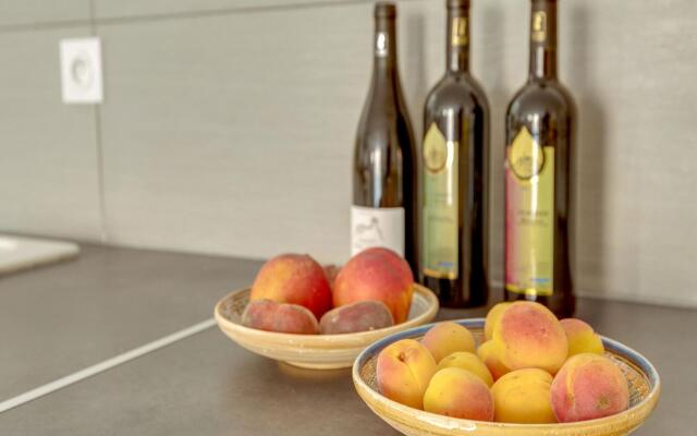 Comfortable Holiday Home in Montouliers near Bize Minervois