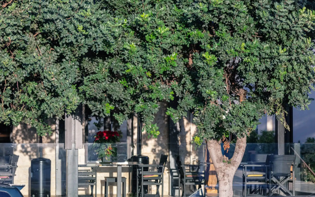 Chapter 02 Gallery Suites