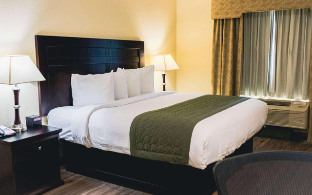 Grander Inn & Suites