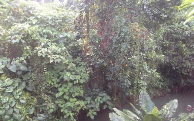 Dewi Ayu Accommodation