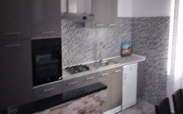 Apartments Miocic
