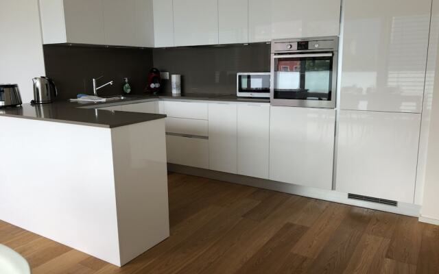 Brissago Vista Lago 1