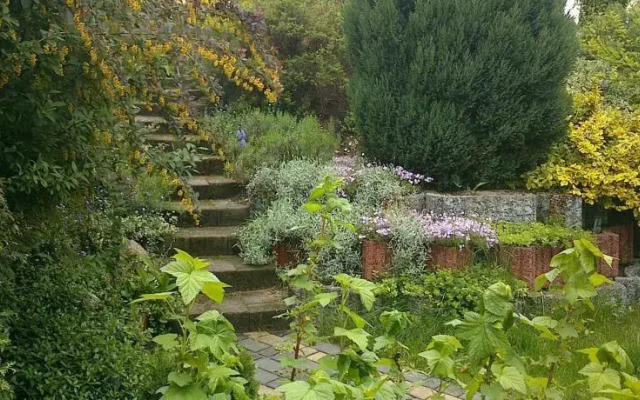 Domek Letniskowy Carpe Diem