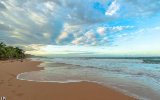 Bocas Condos Rentals