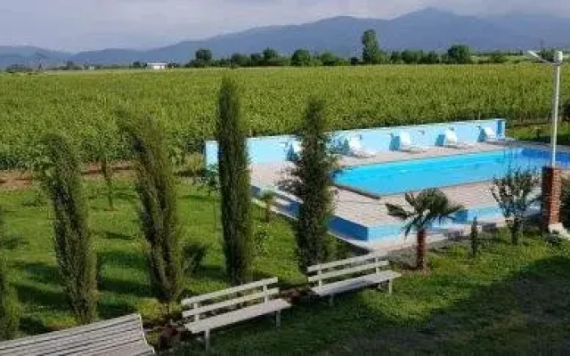 Shaloshvili's Cellar Hotel