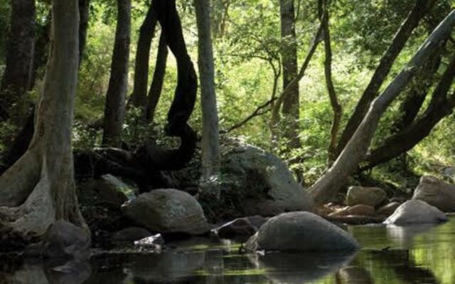 Kanthalloor Wild Stay