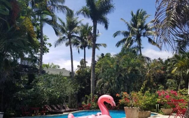 Cabarete Surf Camp