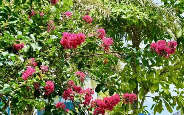 Ocean Melody KB Villa 59 – Outside – Phan Thiet