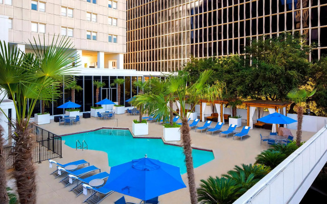 The Whitehall Houston