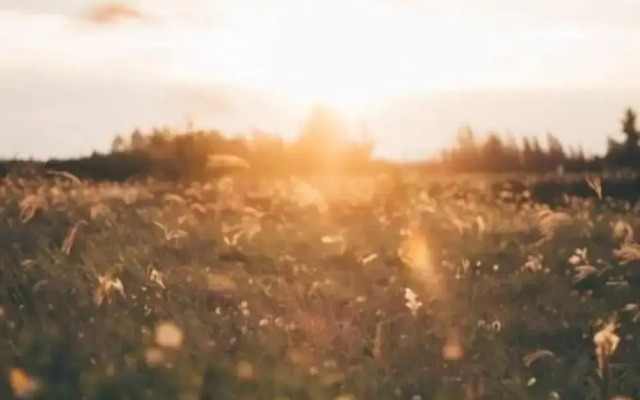 Résidence Les Blanches Provençales