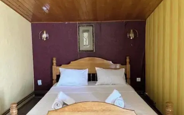 Odelia hostel