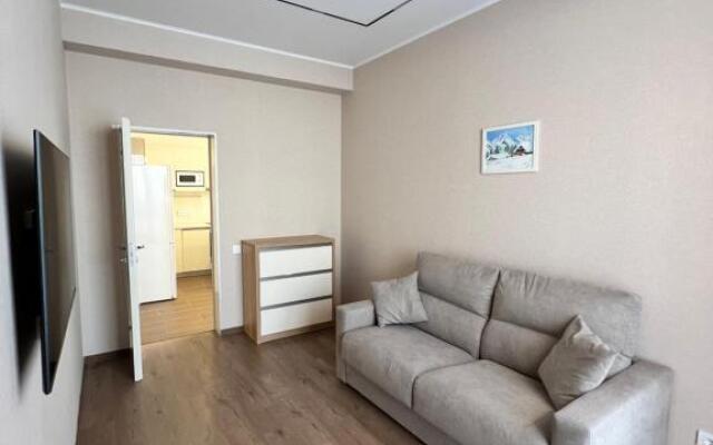 VIP квартира 3 комнаты New Gudauri, Alpic