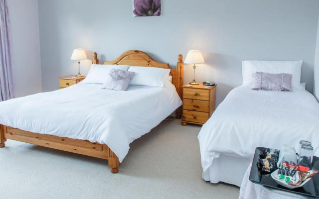 Newsham Grange Farm Bed and Breakfast