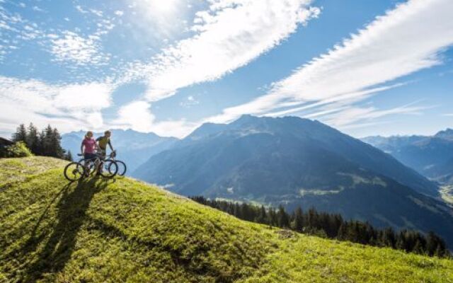 Chalet Montafon 17460