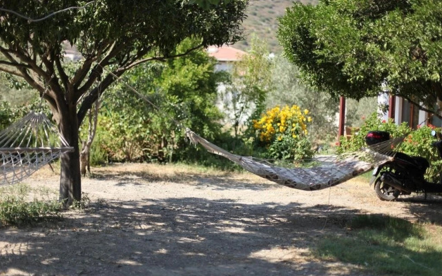 Serenity Pension