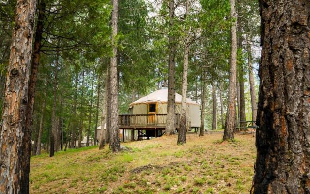 Yosemite Lakes Hillside Yurt 14