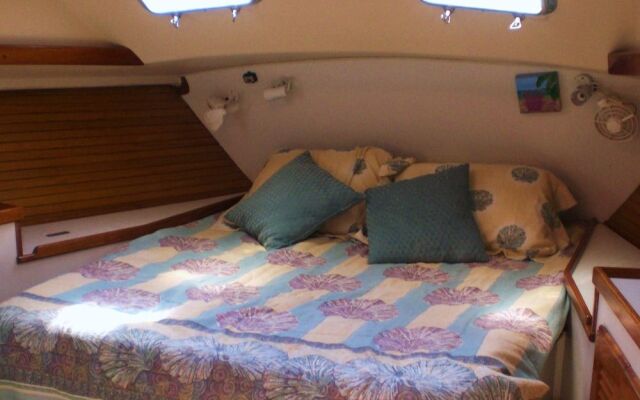 Key West Sailing Adventure With Sunset Charter Included