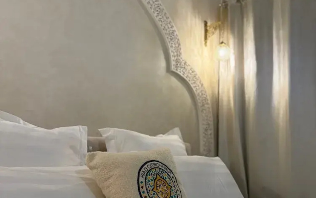 Riad citronnier
