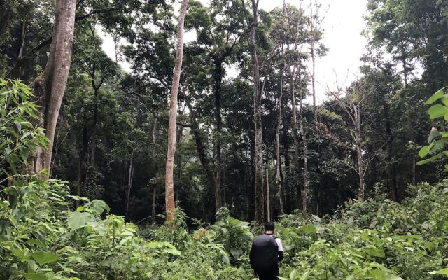 Swarga Lodge and Homestay