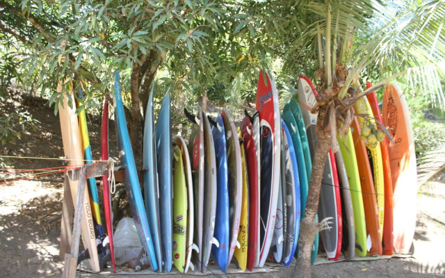 Surf Synergy All-Inclusive Surf Retreat