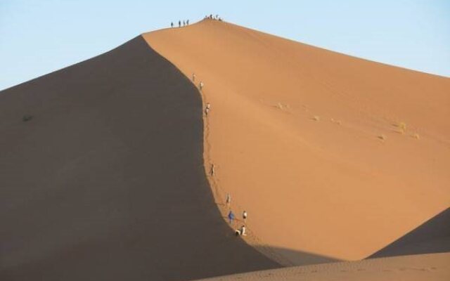 Camel Safari Camp