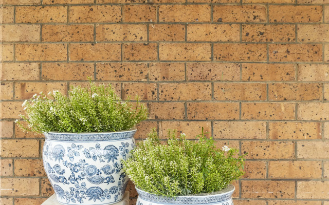 The Byng Street Boutique Hotel