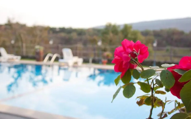 Azienda Agrituristica San Marco