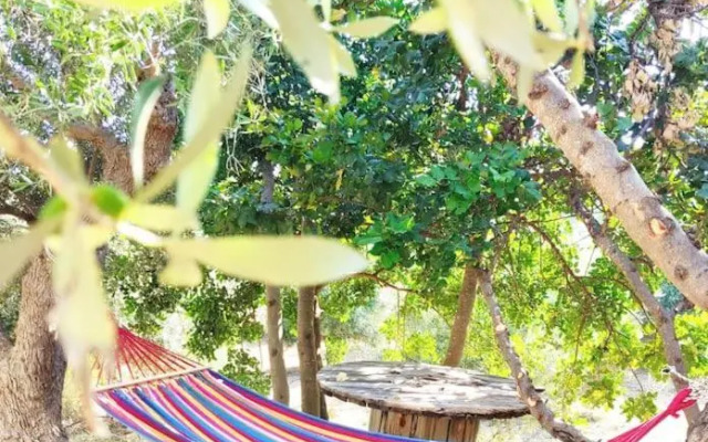 Olive Land - Γη Της Ελιας / Stone Villa.