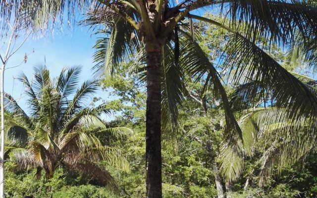 Tropical Eco Camping