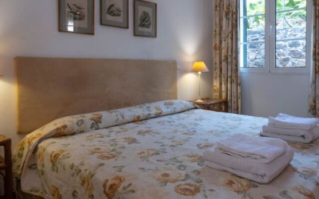 Charming Restored Stone Cottage In Funchal Centre   Casa Das Vinhas