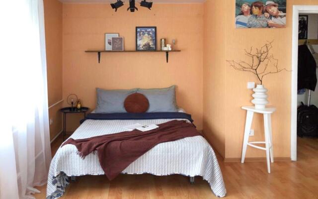 Апартаменты на улице Конёнкова