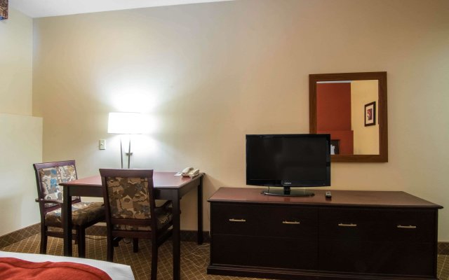 Comfort Inn & Suites Airport South