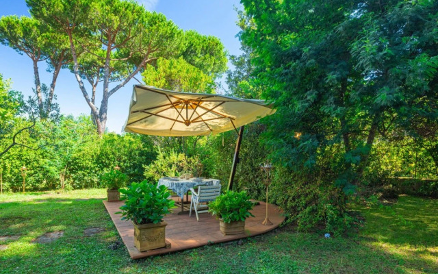 Madda Camaiore in Camaiore