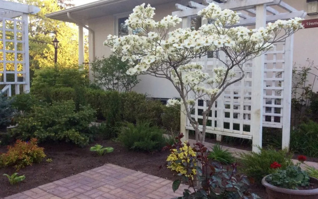 Via Veneto - Old Town