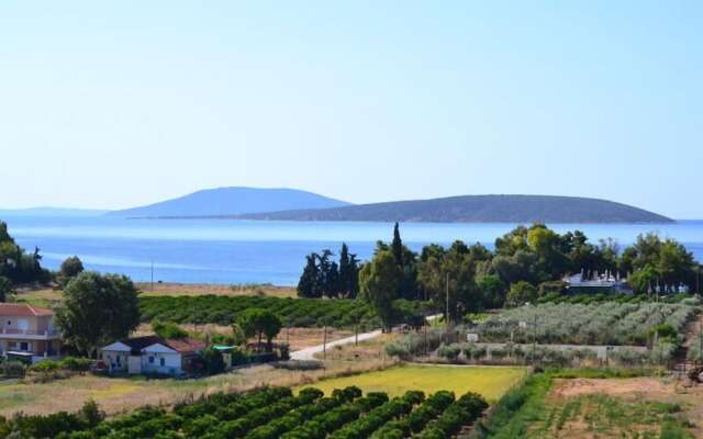 Alexandros Apartments