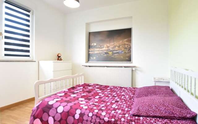 Spacious Holiday Home in Niderviller with Garden