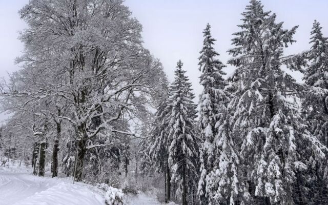 Apartment Carola Suhl