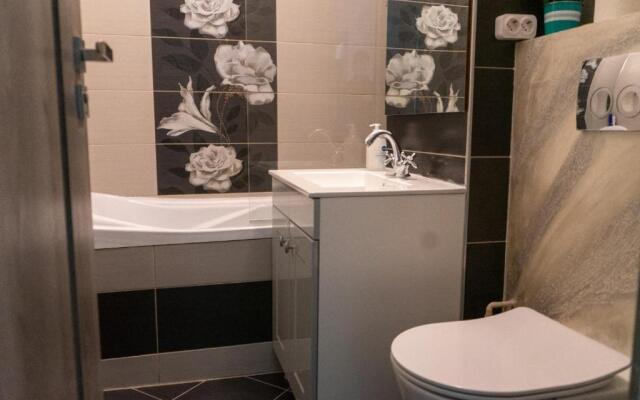 Apartament Central Radu